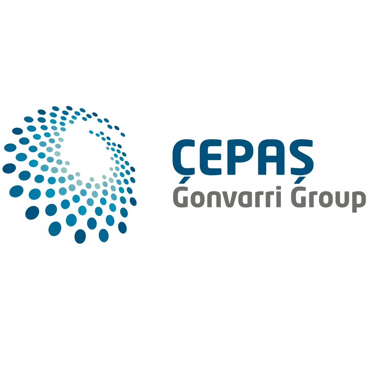 ÇEPAŞ-Gonvarri Group